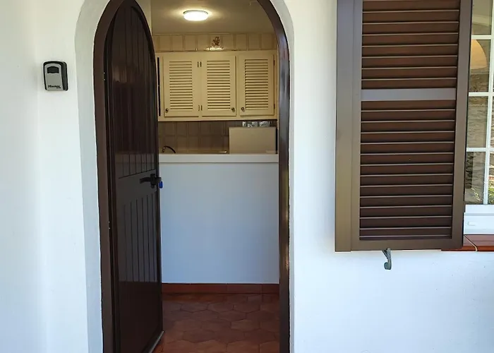 Colibri 阿莱奥尔